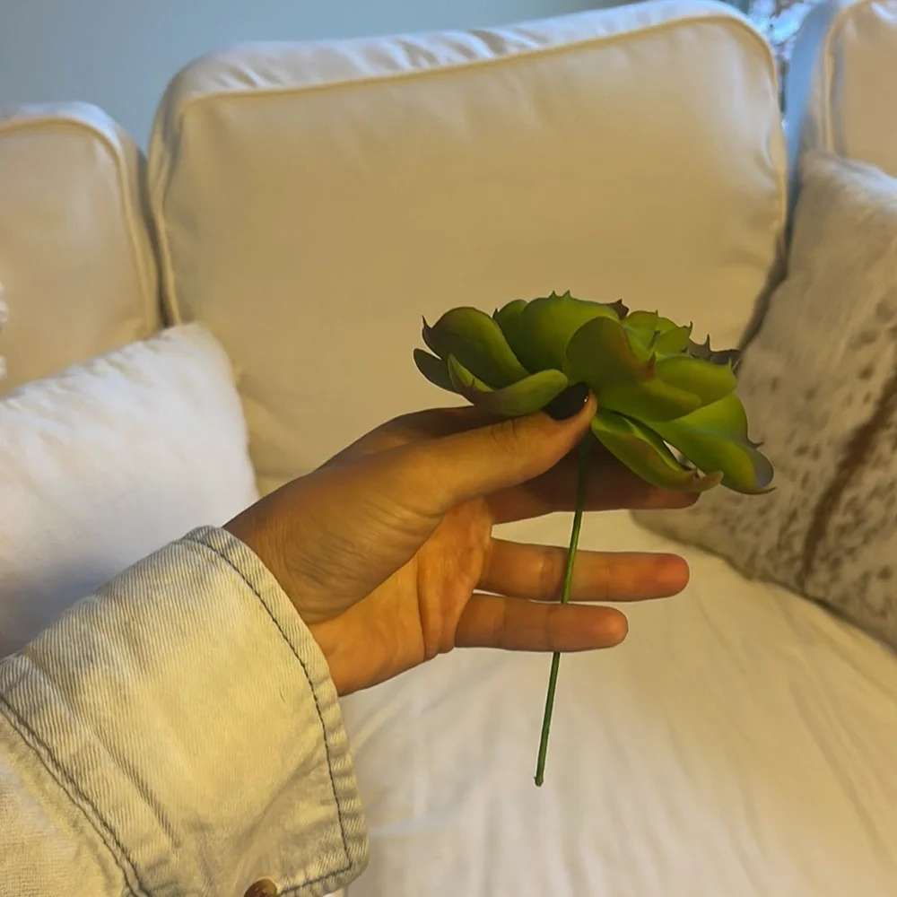 Faux succulent stem